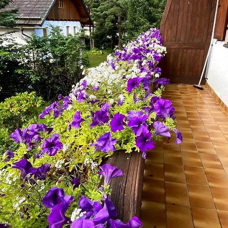 דירה Haus Jolomo