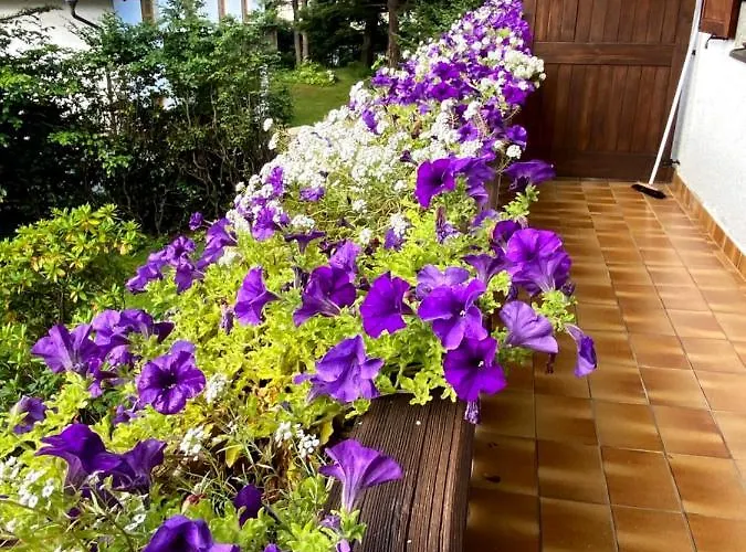 Apartman Haus Jolomo