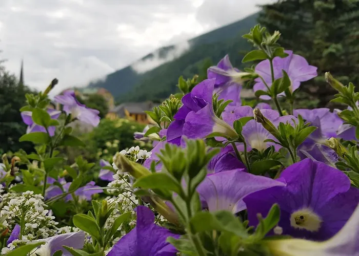 Haus Jolomo مالنتز