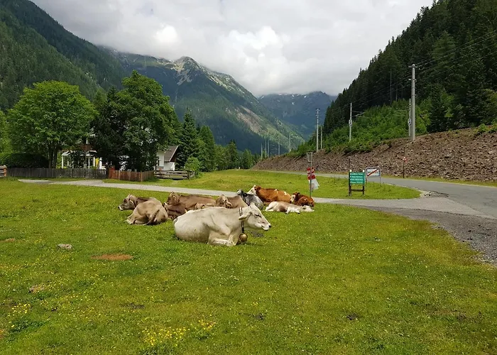 Haus Jolomo Apartment *